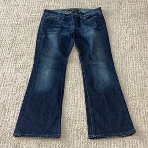 Joe's Jeans Blue Flare Leg Denim